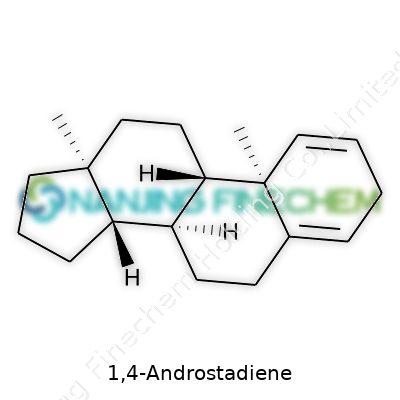 1,4-Androstadiene