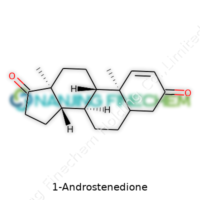 1-Androstenedione